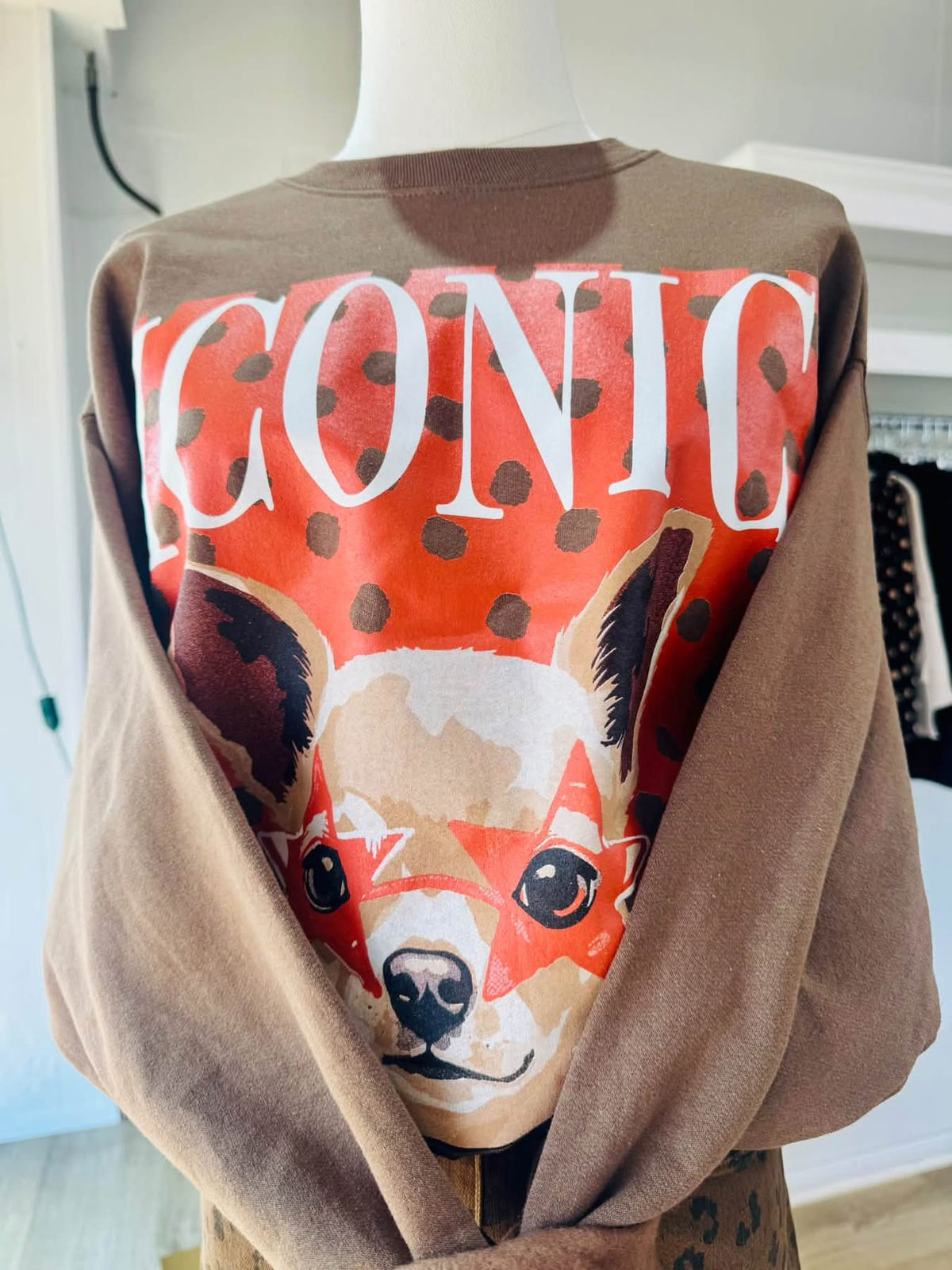 Iconic Brown Sweatshirt