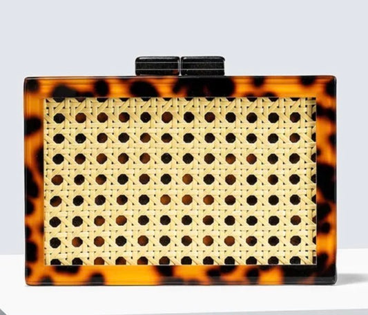 Anyssa Acrylic Clutch Bag