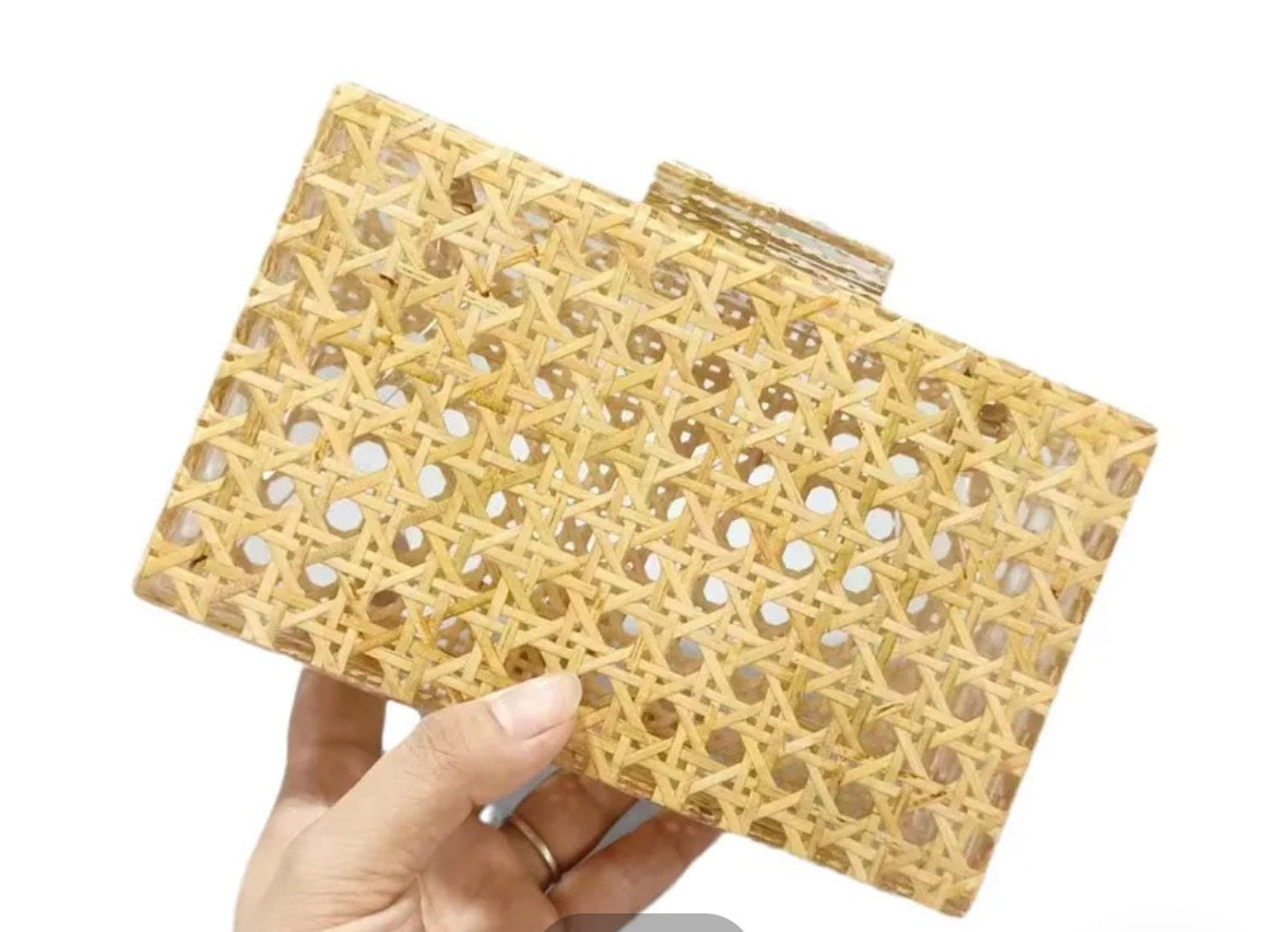 Myka Acrylic Evening Bag