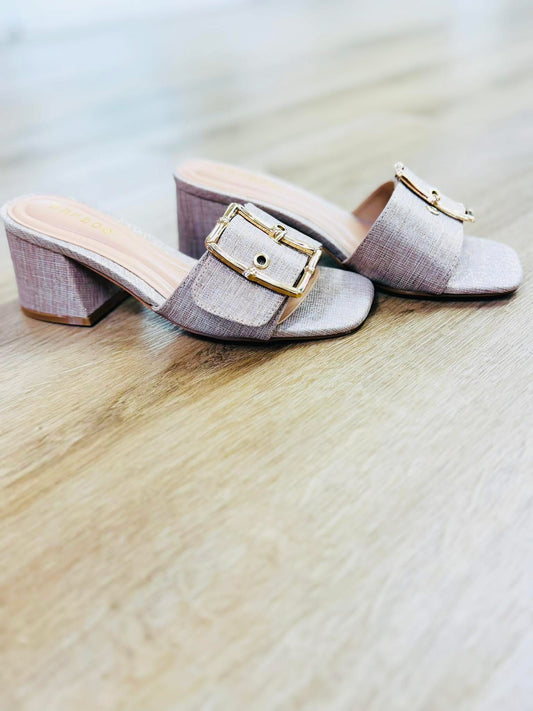 Wide Band Buckle Block Heels