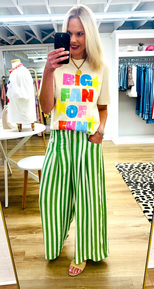 Big Fan Of Fun Multi Tee