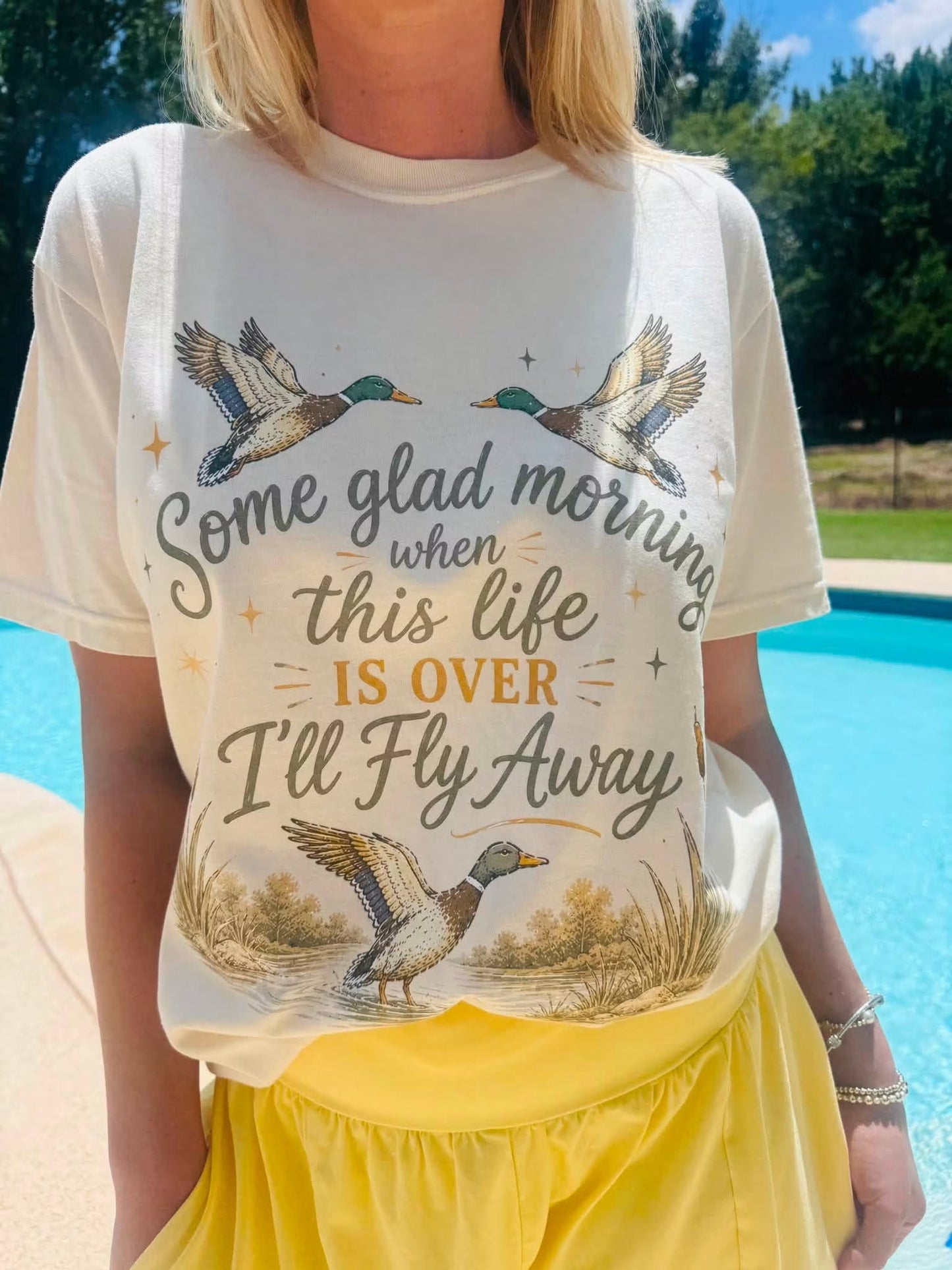 Some Glad Morning, I’ll Fly Away