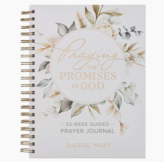 Praying The Promises Of God
